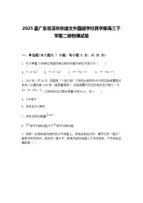 2025届广东省深圳市建文外国语学校两学部高三下学期二模物理试题（含答案解析）