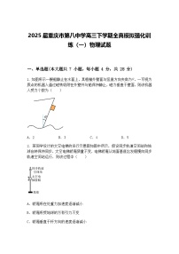 2025届重庆市第八中学高三下学期全真模拟强化训练（一）物理试题（含答案解析）