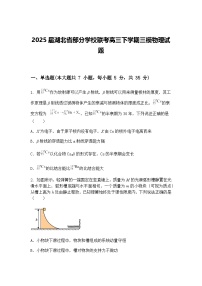 2025届湖北省部分学校联考高三下学期三模物理试题（含答案解析）