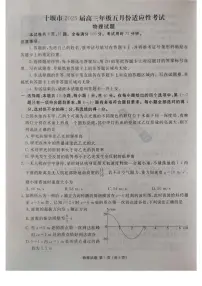 湖北省十堰市2025届高三下学期五月份适应性考试物理试卷+答案