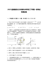 2025届湖南省长沙市雅礼中学高三下学期一模考试物理试题（含答案解析）