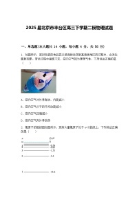 2025届北京市丰台区高三下学期二模物理试题（含答案解析）