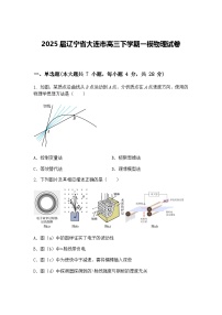 2025届辽宁省大连市高三下学期一模物理试卷（含答案解析）