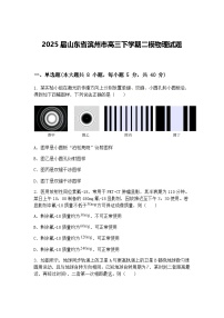 2025届山东省滨州市高三下学期二模物理试题（含答案解析）