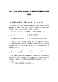 2025届湖北省武汉市高三下学期四月调研考试物理试题（含答案解析）