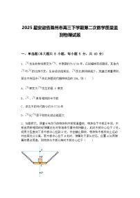 2025届安徽省滁州市高三下学期第二次教学质量监测物理试题（含答案解析）
