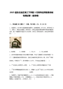 2025届东北地区高三下学期3月高考名师联席命制物理试卷（信息卷）（含答案解析）