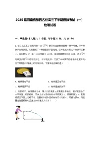 2025届河南省豫西名校高三下学期模拟考试（一）物理试题（含答案解析）