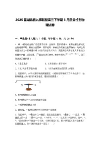 2025届湖北省九师联盟高三下学期3月质量检测物理试卷（含答案解析）