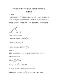 2026届四川省广安中学高三上学期模拟预测物理试卷（解析版）