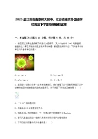 2025届江苏省南京师大附中、江苏省南京外国语学校高三下学期物理模拟试卷（含答案解析）