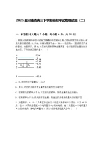 2025届河南省高三下学期模拟考试物理试题（二）（含答案解析）