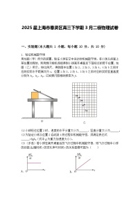 2025届上海市奉贤区高三下学期3月二模物理试卷（含答案解析）