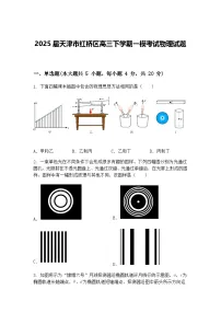2025届天津市红桥区高三下学期一模考试物理试题（含答案解析）