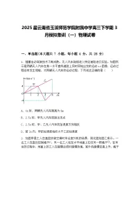 2025届云南省玉溪师范学院附属中学高三下学期3月模拟集训（一）物理试卷（含答案解析）
