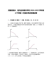 河南省新乡、驻马店市部分学校2024-2025学年高三下学期3月模拟考试物理试卷（含答案解析）