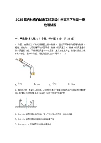 2025届吉林省白城市实验高级中学高三下学期一模物理试题（含答案解析）