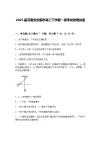 2025届河南省安阳市高三下学期一模考试物理试题（含答案解析）