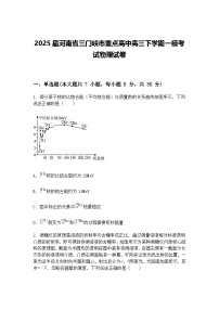 2025届河南省三门峡市重点高中高三下学期一模考试物理试卷（含答案解析）