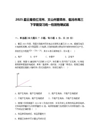 2025届云南省红河州、文山州普洱市、临沧市高三下学期复习统一检测物理试题（含答案解析）