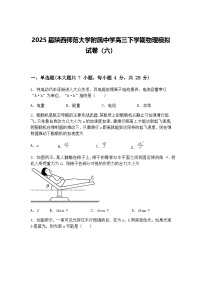2025届陕西师范大学附属中学高三下学期物理模拟试卷（六）（含答案解析）