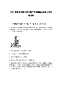 2025届青海省部分学校高三下学期联合质量检测物理试卷（含答案解析）