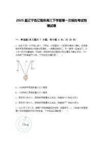 2025届辽宁省辽阳市高三下学期第一次模拟考试物理试卷（含答案解析）