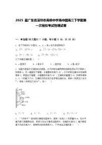 2025 届广东省深圳市高级中学高中园高三下学期第一次模拟考试物理试卷（含答案解析）