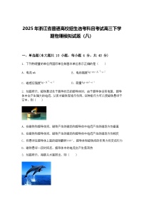 2025年浙江省普通高校招生选考科目考试高三下学期物理模拟试题（八）（含答案解析）