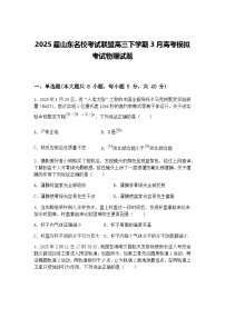 2025届山东名校考试联盟高三下学期3月高考模拟考试物理试题（含答案解析）