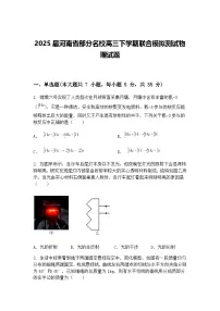 2025届河南省部分名校高三下学期联合模拟测试物理试题（含答案解析）