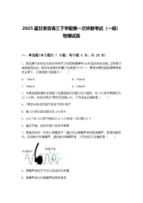 2025届甘肃省高三下学期第一次诊断考试（一模）物理试题（含答案解析）
