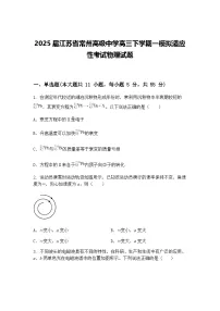 2025届江苏省常州高级中学高三下学期一模拟适应性考试物理试题（含答案解析）