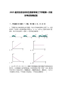 2025届河北省沧州市五县联考高三下学期第一次模拟考试物理试题（含答案解析）