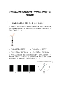 2025届天津市武清区杨村第一中学高三下学期一模物理试卷（含答案解析）