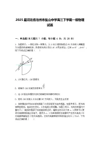 2025届河北省沧州市盐山中学高三下学期一模物理试题（含答案解析）