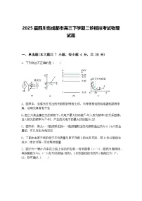 2025届四川省成都市高三下学期二诊模拟考试物理试题（含答案解析）