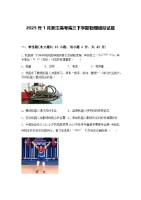 2025年1月浙江高考高三下学期物理模拟试题（含答案解析）