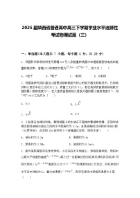 2025届陕西省普通高中高三下学期学业水平选择性考试物理试题（三）（含答案解析）