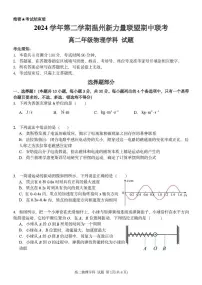 浙江省温州新力量联盟2024-2025学年高二下学期4月期中联考试题物理试卷+答案
