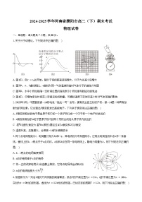 2024-2025学年河南省濮阳市高二（下）期末物理试卷（含解析）