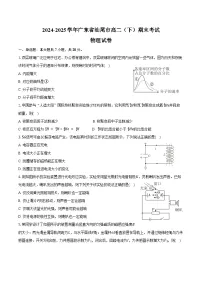 2024-2025学年广东省汕尾市高二(下)期末物理试卷(含解析)