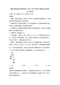 湖北省部分高中协作体联考2024-2025学年高二下学期5月月考物理试卷（解析版）