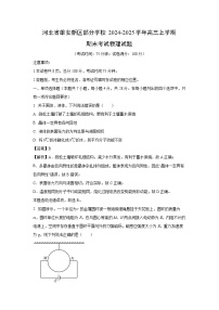 河北省雄安新区部分学校2024-2025学年高三上学期期末考试物理试卷（解析版）