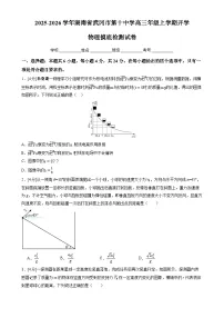 2025-2026学年湖南省武冈市第十中学高三上学期开学摸底检测物理试卷（解析版）