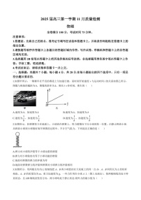 河南省部分示范性重点高中2025届高三下学期11月期中质量检测-物理试卷（含答案）