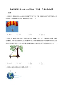 海南省临高县新盈中学2024-2025学年高一下学期期末考试物理试卷（含答案）含答案解析