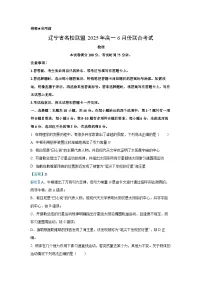 辽宁省名校联盟2024-2025学年高一下学期6月联合考试物理试卷（解析版）