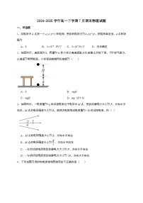 新疆维吾尔自治区喀什地区莎车县2024~2025学年高一下学期7月期末考试物理检测试题（含答案）