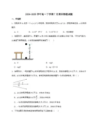 新疆维吾尔自治区喀什地区莎车县2024~2025学年高一下学期7月期末考试物理检测试题（含答案）